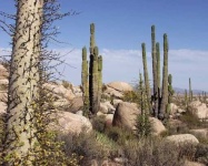 image of desert