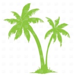 image of palm_tree #13