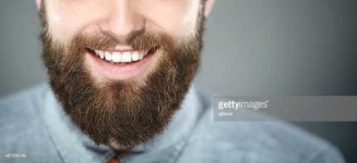 image of beard #1