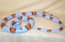 image of king_snake