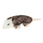 image of possum #14