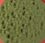 image of texture