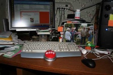 image of mouse