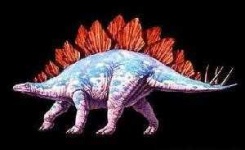 image of stegosaurus