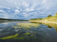 image of wetland
