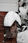image of birdhouse