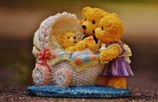 image of teddy_bear