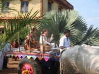 image of oxcart