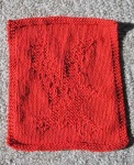 image of dishrag