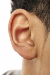 image of ear #26