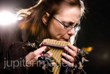 image of panpipe