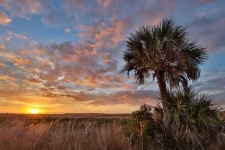 image of prairie