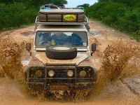 image of jeep_car