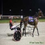 image of harness_racing #12