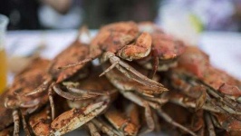 image of crab