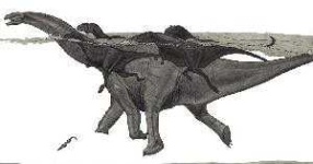 image of brontosaurus