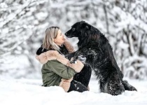 image of people_play_with_dog
