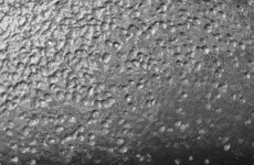 image of texture