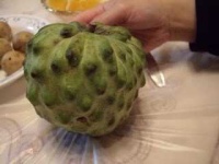 image of custard_apple