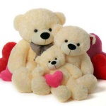 image of teddy_bear