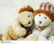 image of teddy_bear