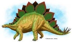image of stegosaurus
