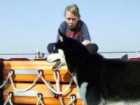 image of siberian_husky