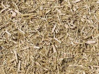 image of texture