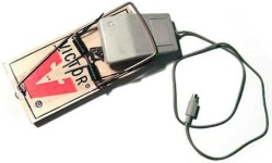 image of mousetrap