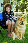 image of chow