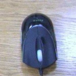 image of computer_mouse