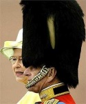 image of bearskin