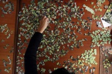 image of jigsaw_puzzle