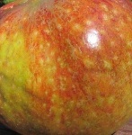 image of texture