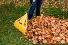 image of rake