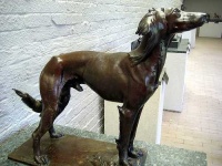 image of saluki