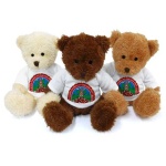 image of teddy_bear