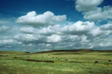 image of grassland