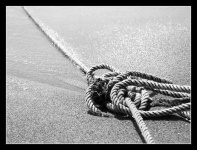 image of knot