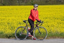 image of rapeseed