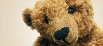 image of teddy_bear