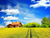 image of sunny
