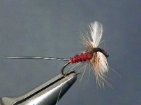 image of quill