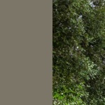 image of material