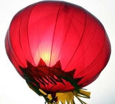 image of balloon
