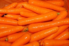 image of carrot