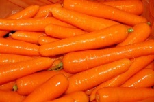 image of carrot #19