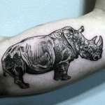 image of rhinoceros