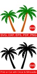 image of palm_tree