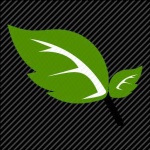 image of leaf